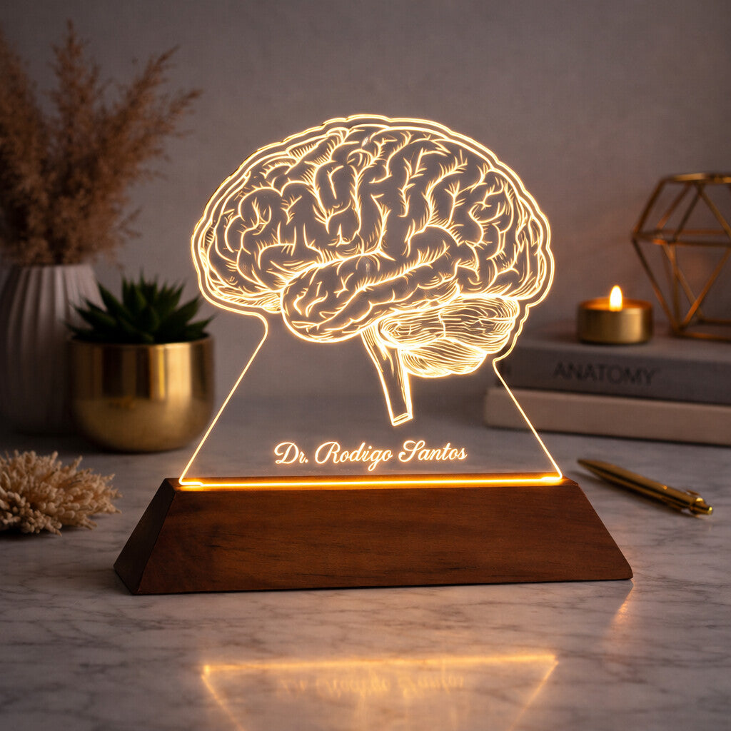 Luminária Cérebro - Presente Médico Display LED Acrílico Troféu Adorno de Mesa Decoração Medicina Corpo Humano