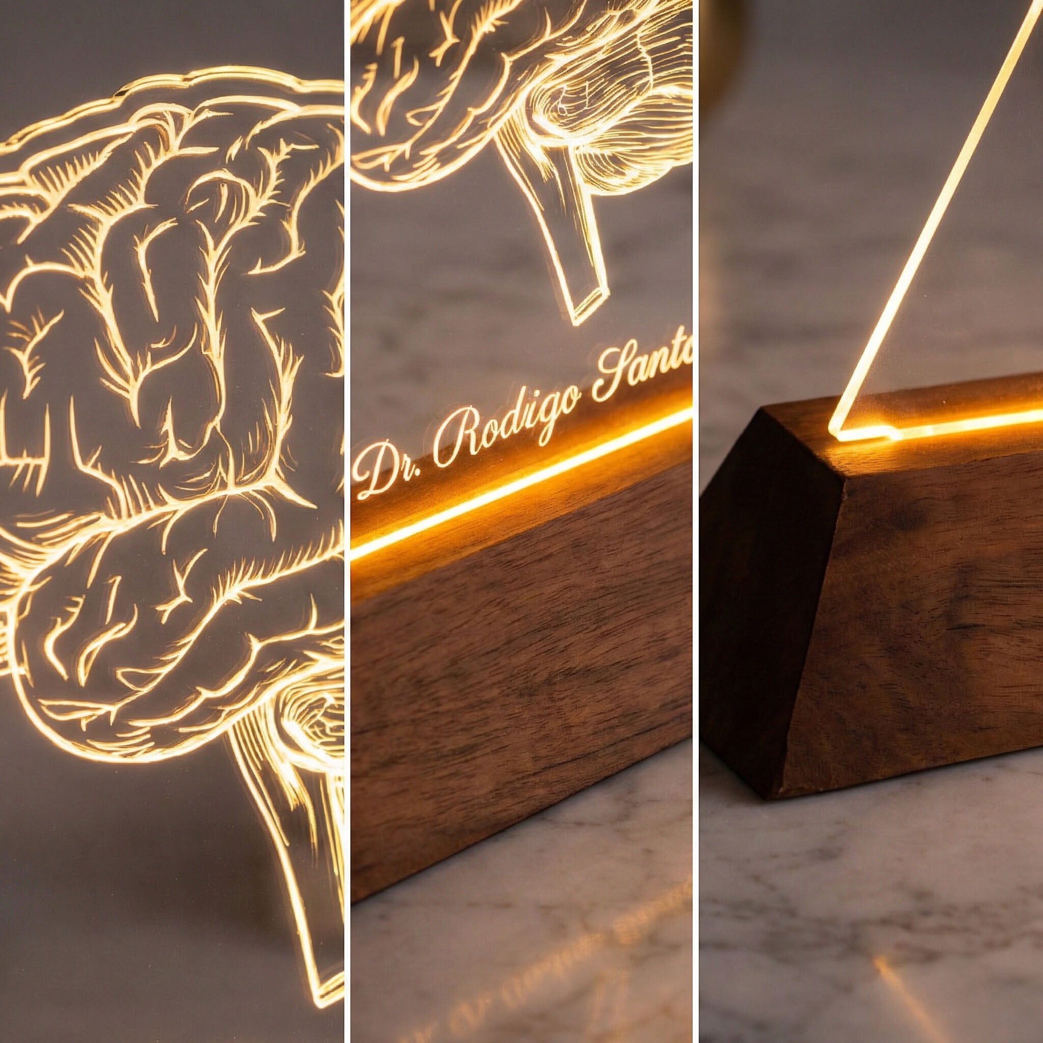 Luminária Cérebro - Presente Médico Display LED Acrílico Troféu Adorno de Mesa Decoração Medicina Corpo Humano