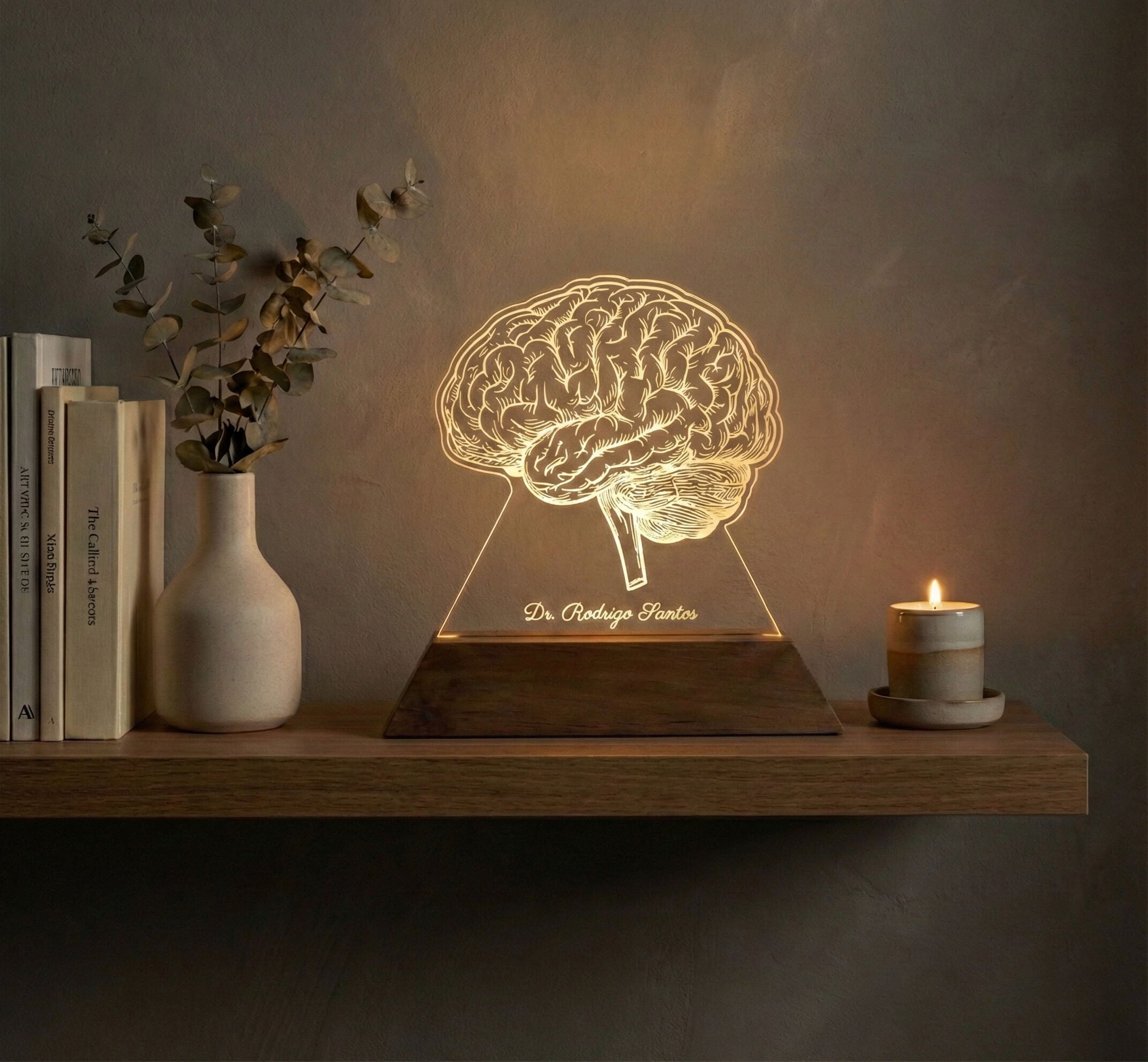 Luminária Cérebro - Presente Médico Display LED Acrílico Troféu Adorno de Mesa Decoração Medicina Corpo Humano