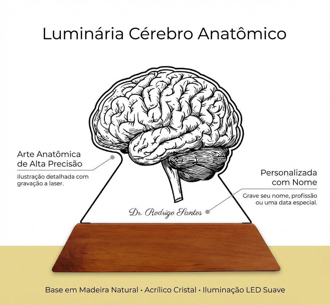 Luminária Cérebro - Presente Médico Display LED Acrílico Troféu Adorno de Mesa Decoração Medicina Corpo Humano