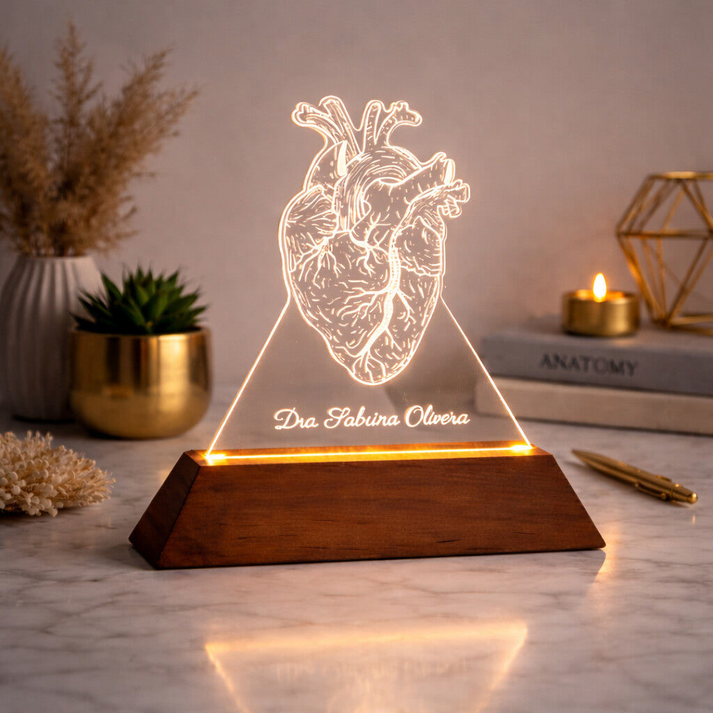 Luminária Coração - Presente Médico Display LED Acrílico Troféu Adorno de Mesa Decoração Medicina Corpo Humano