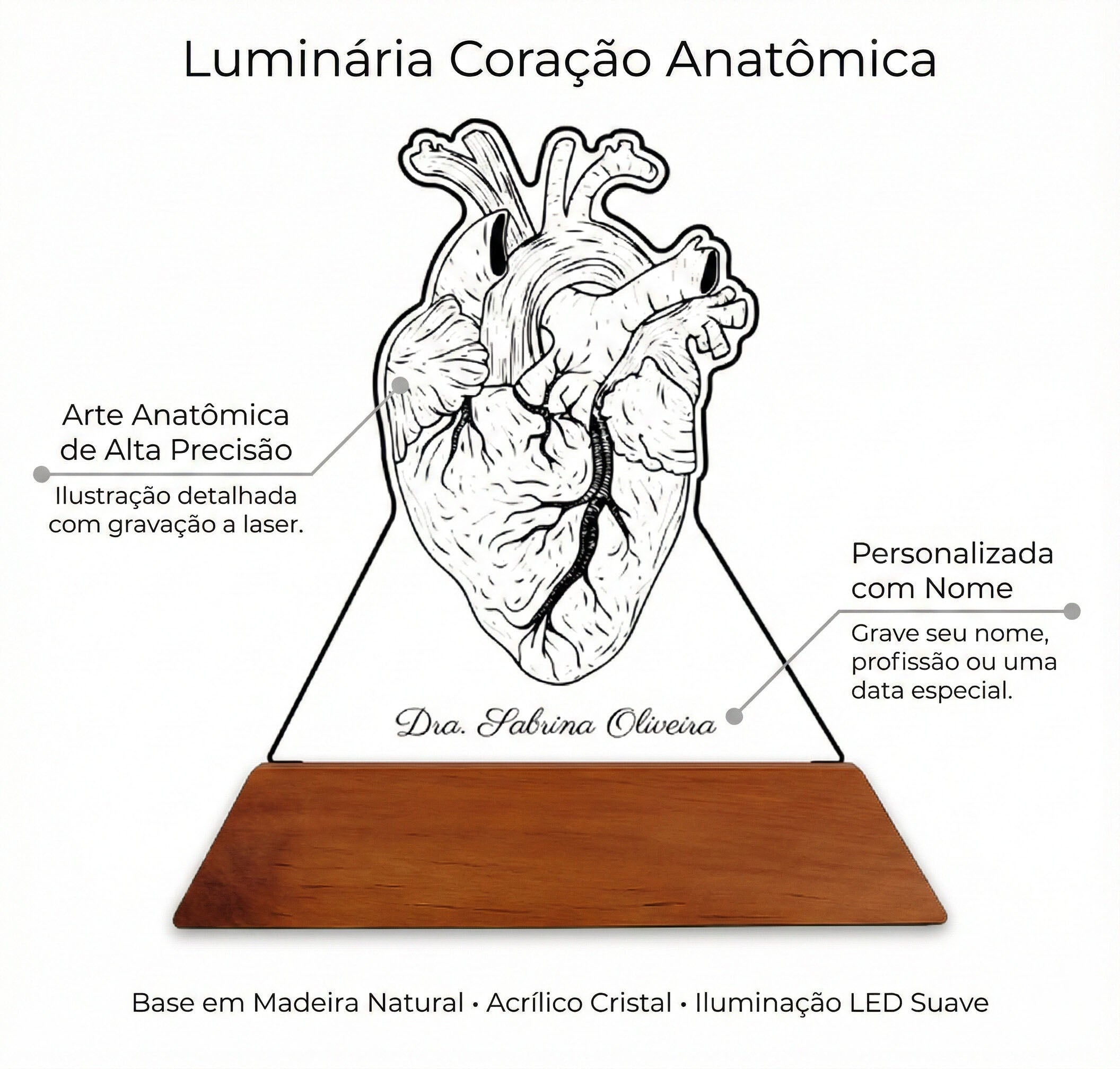 Luminária Coração - Presente Médico Display LED Acrílico Troféu Adorno de Mesa Decoração Medicina Corpo Humano