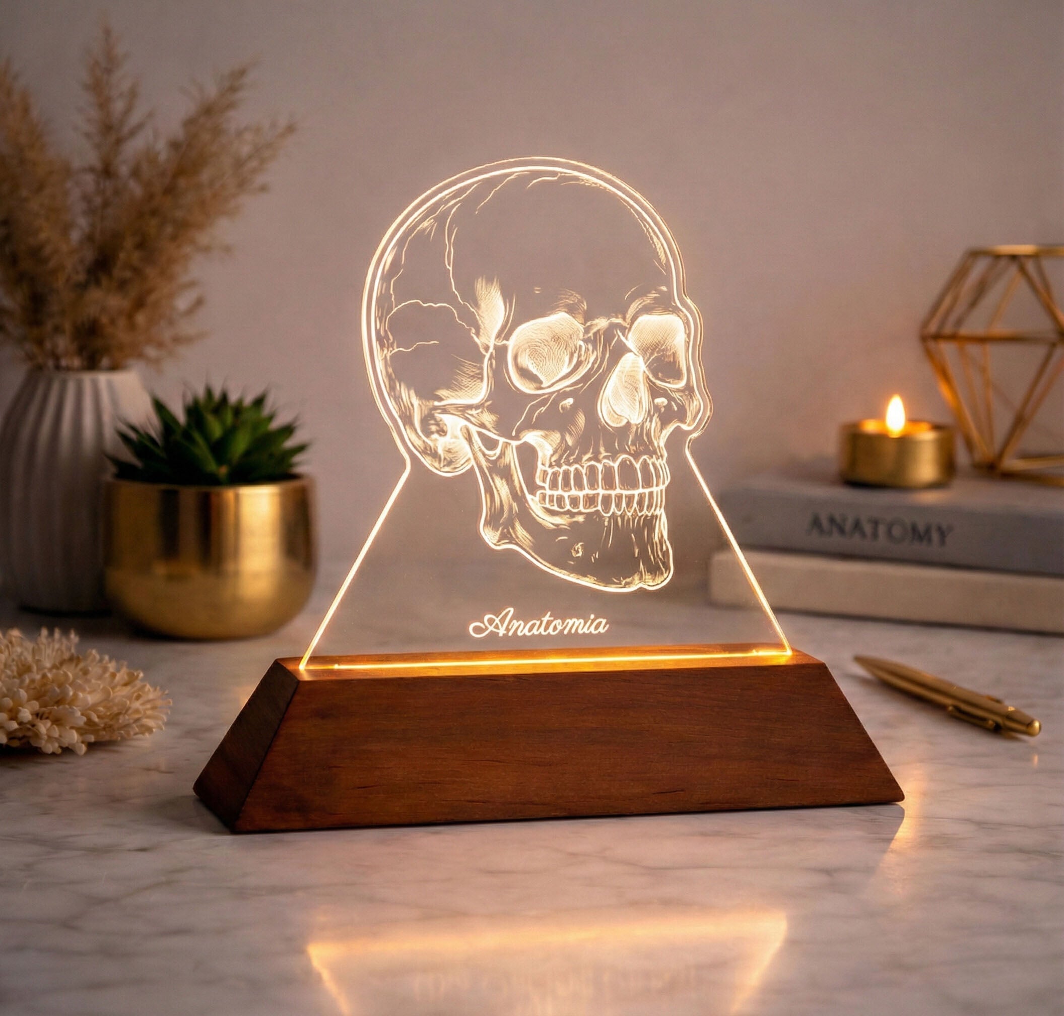 Luminária Crânio - Presente Médico Display LED Acrílico Troféu Adorno de Mesa Decoração Medicina Corpo Humano