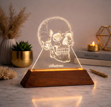 Luminária Crânio - Presente Médico Display LED Acrílico Troféu Adorno de Mesa Decoração Medicina Corpo Humano