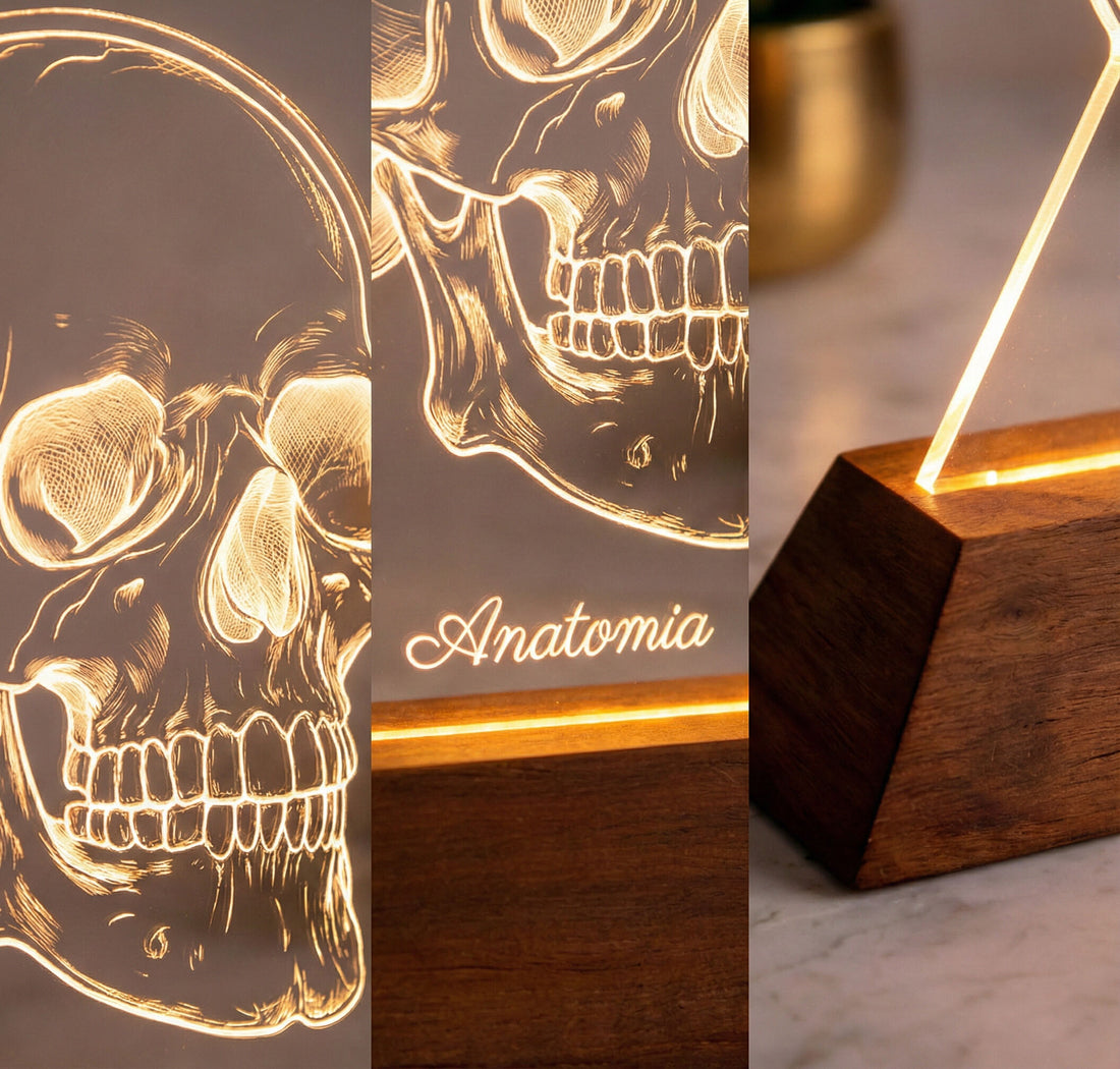 Luminária Crânio - Presente Médico Display LED Acrílico Troféu Adorno de Mesa Decoração Medicina Corpo Humano