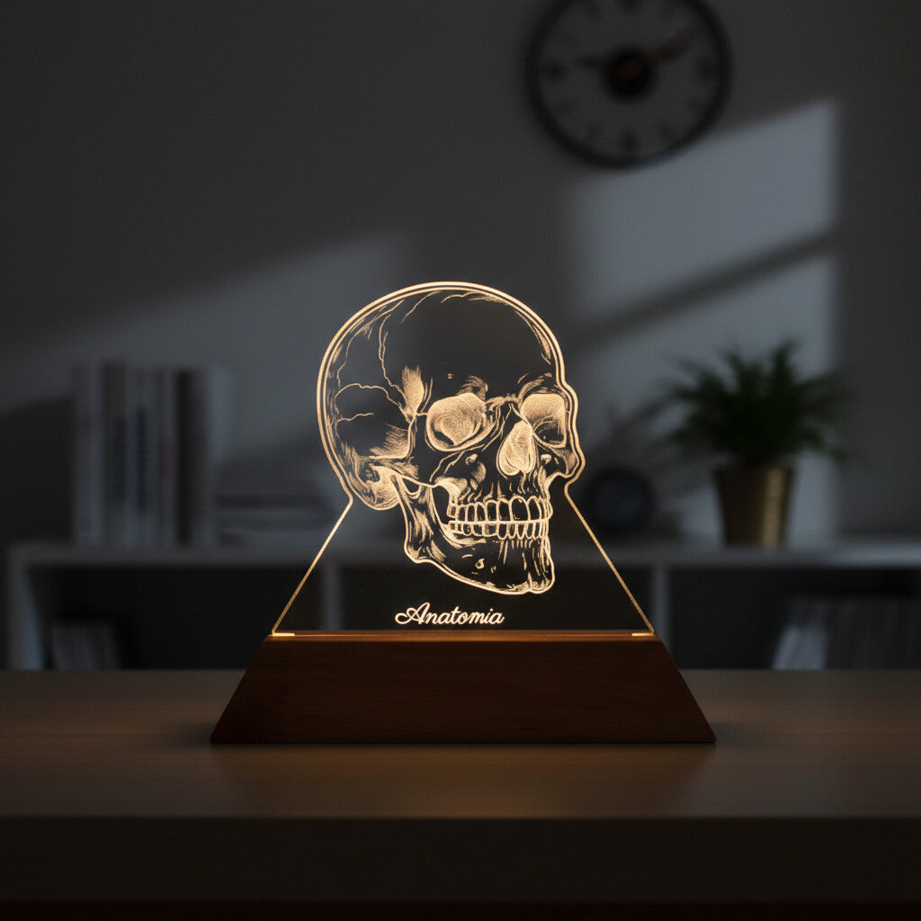 Luminária Crânio - Presente Médico Display LED Acrílico Troféu Adorno de Mesa Decoração Medicina Corpo Humano
