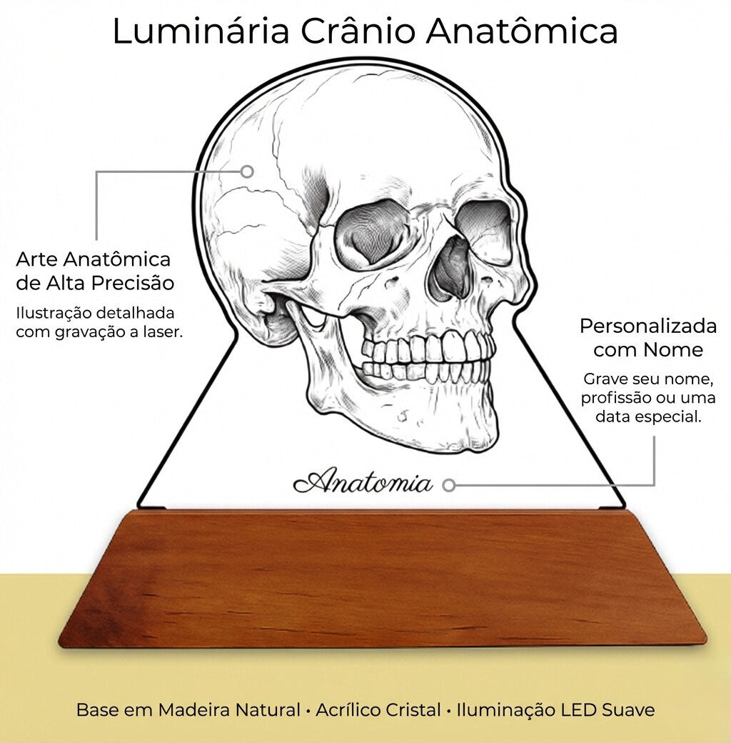 Luminária Crânio - Presente Médico Display LED Acrílico Troféu Adorno de Mesa Decoração Medicina Corpo Humano