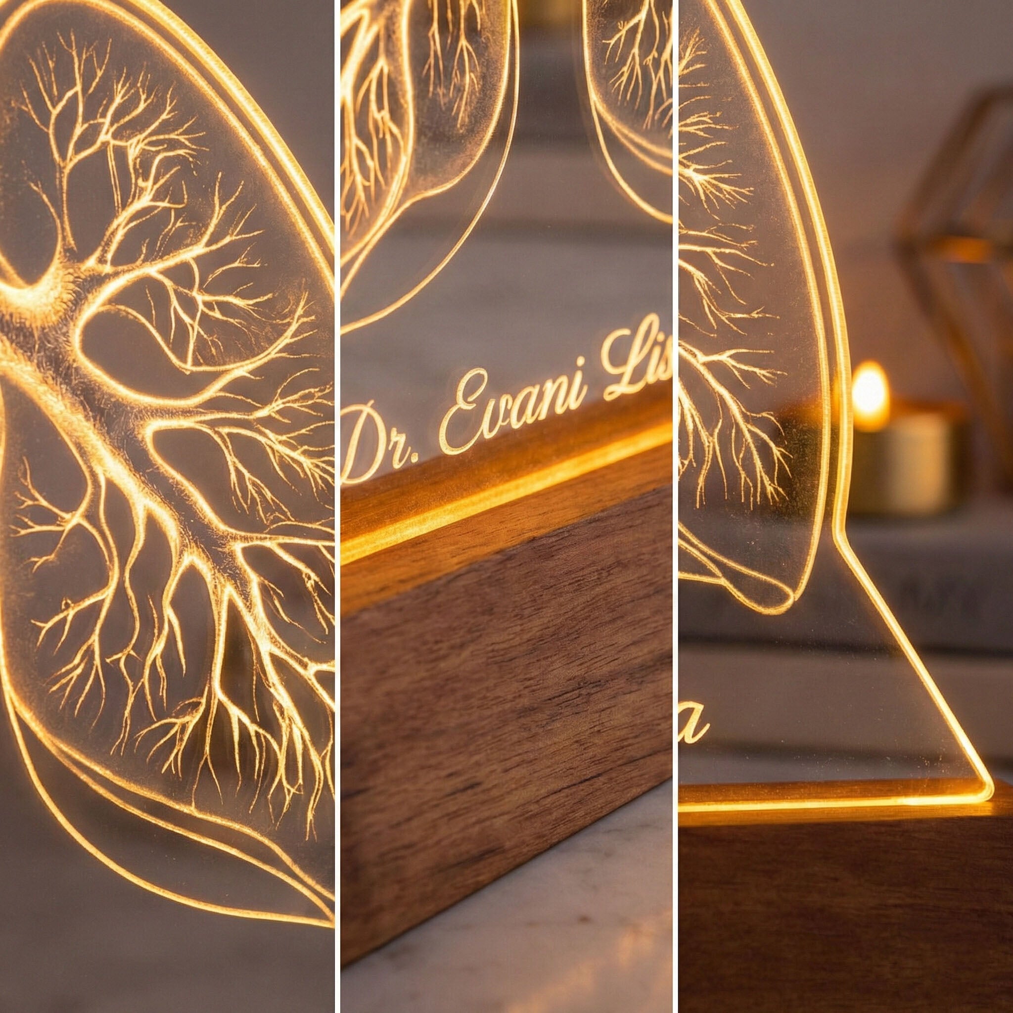 Luminária Pulmões - Presente Médico Display LED Acrílico Troféu Adorno de Mesa Decoração Medicina Corpo Humano