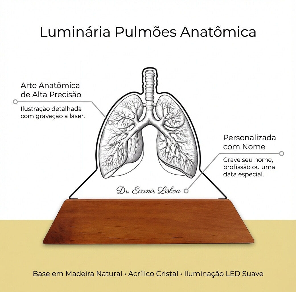 Luminária Pulmões - Presente Médico Display LED Acrílico Troféu Adorno de Mesa Decoração Medicina Corpo Humano