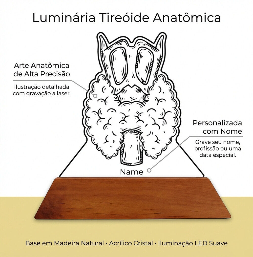 Luminária Tireoide - Presente Médico Display LED Acrílico Troféu Adorno de Mesa Decoração Medicina Corpo Humano