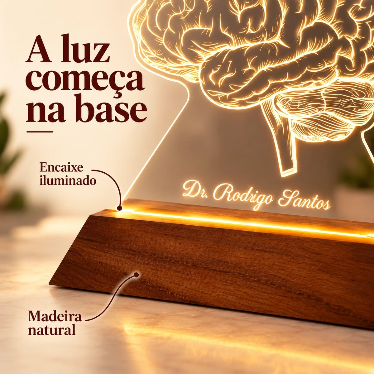 Base LED de madeira e Luminária Cérebro acesa